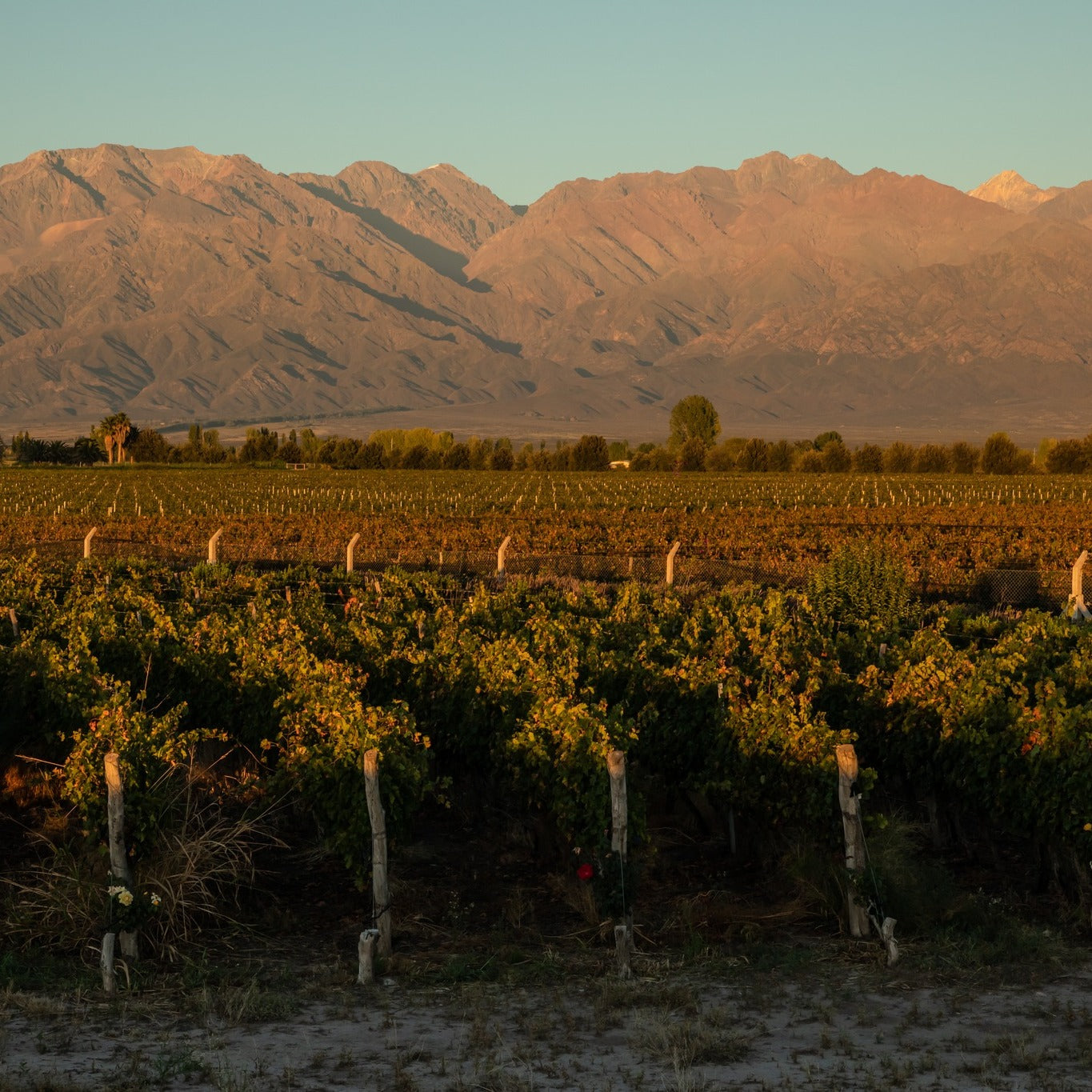 Los Helechos Malbec de Malbecs