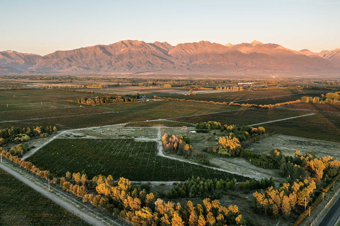 Los Helechos Chardonnay