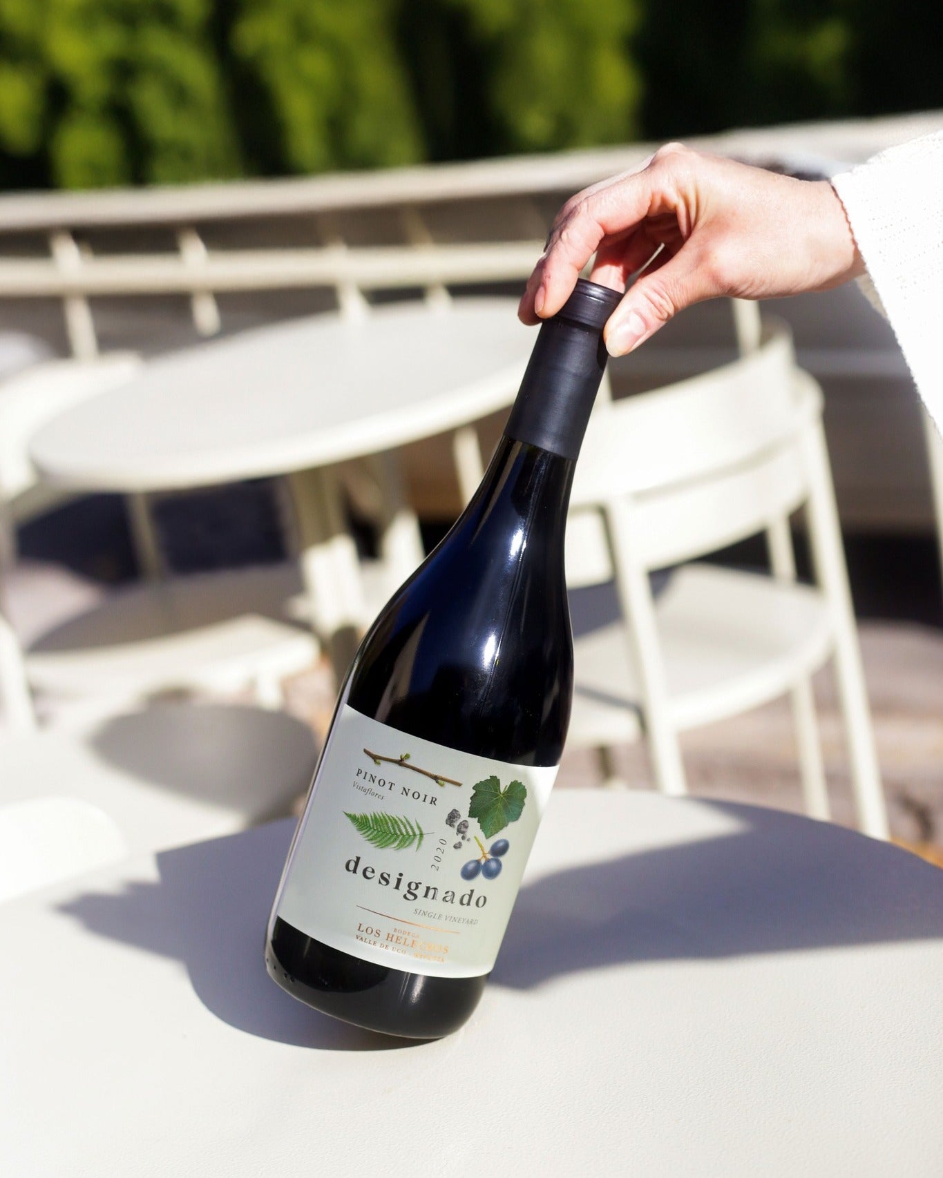 Designado Single Vyneyard  Pinot Nero